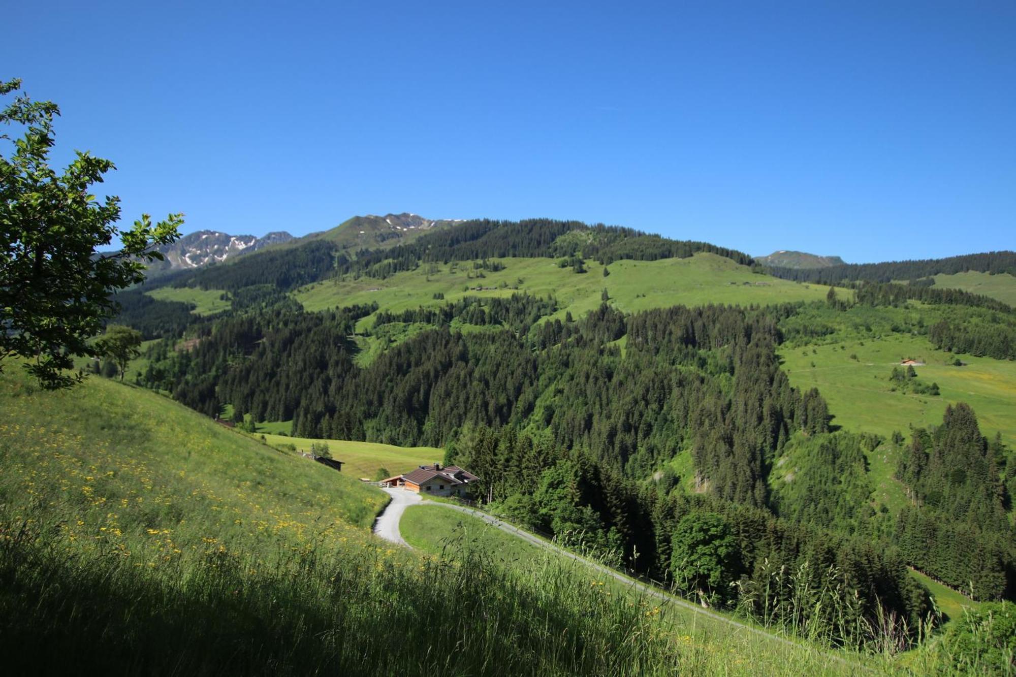 Ferienwohnung Bergpanorama Wild600 Schwarzenau  Eksteriør billede